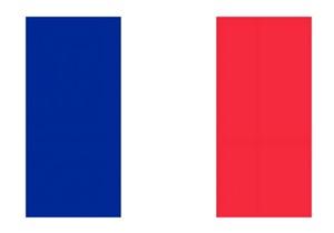 法国商标侵权投诉