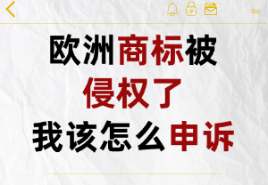 欧洲商标被侵权了，我该怎么申诉