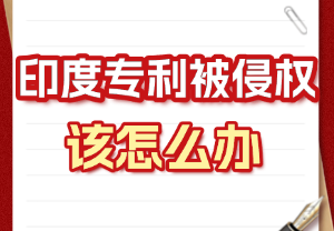 印度专利侵权申诉指南