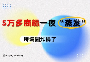 突发！深圳3家机构5.2万商标被秒撤，卖家慌了！