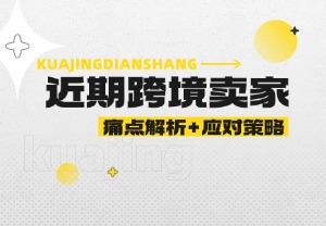 跨境卖家近期痛点解析+应对策略！！