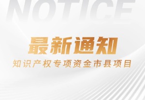 深圳市市场监督管理局|关于发布2025年省级财政知识产权专项