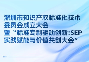 深圳市知识产权标准化技术委员会成立大会暨“标准专利驱动创新: