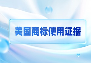 海联通鉴│美国商标使用证据相关规定