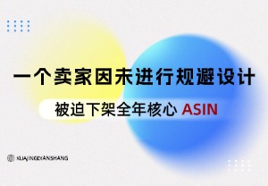 一个卖家因未进行规避设计，被迫下架全年核心 ASI